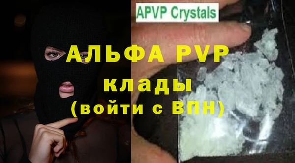 индика Алексин