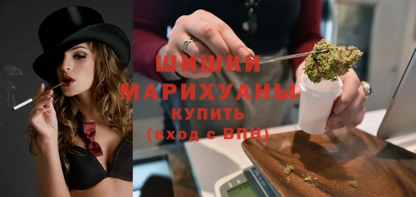 твердый Протвино