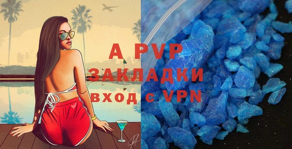 индика Алексин