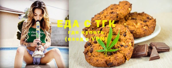 индика Алексин