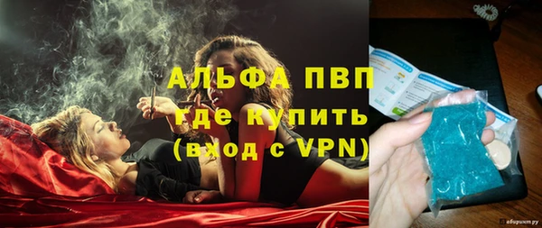 индика Алексин