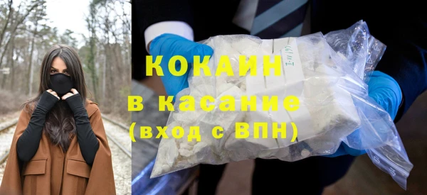 индика Алексин