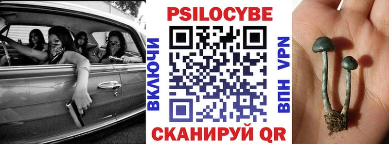 Галлюциногенные грибы Magic Shrooms Венёв